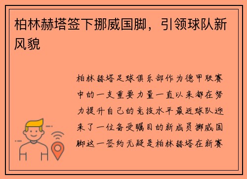 柏林赫塔签下挪威国脚，引领球队新风貌